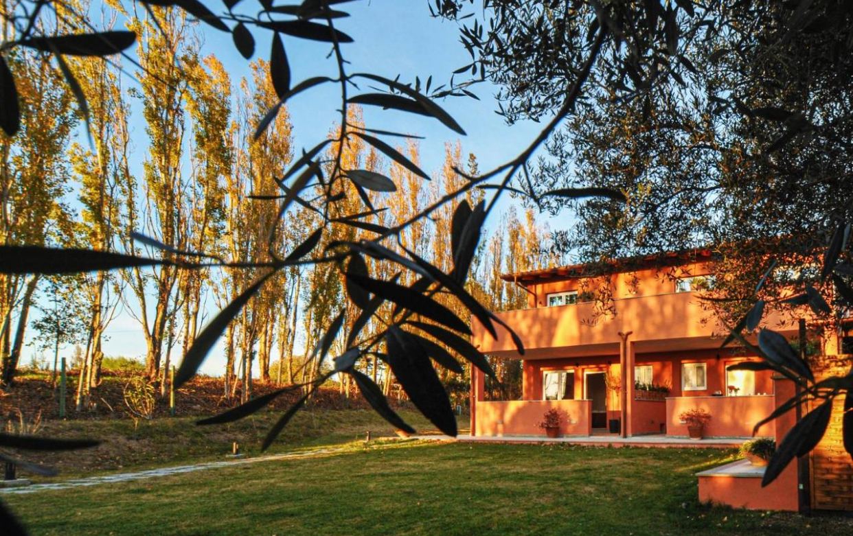 La casa vista tra i rami di un ulivo