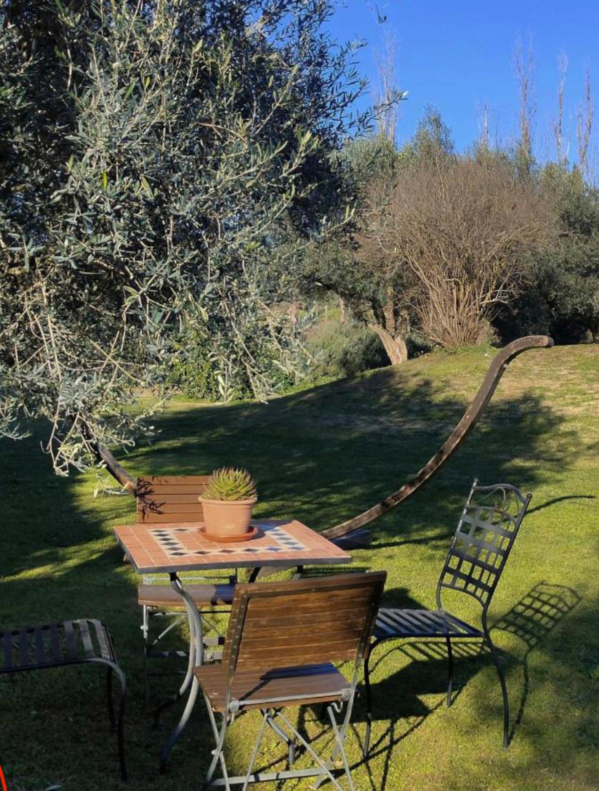Un tavolo nel prato, all'ombra di un ulivo