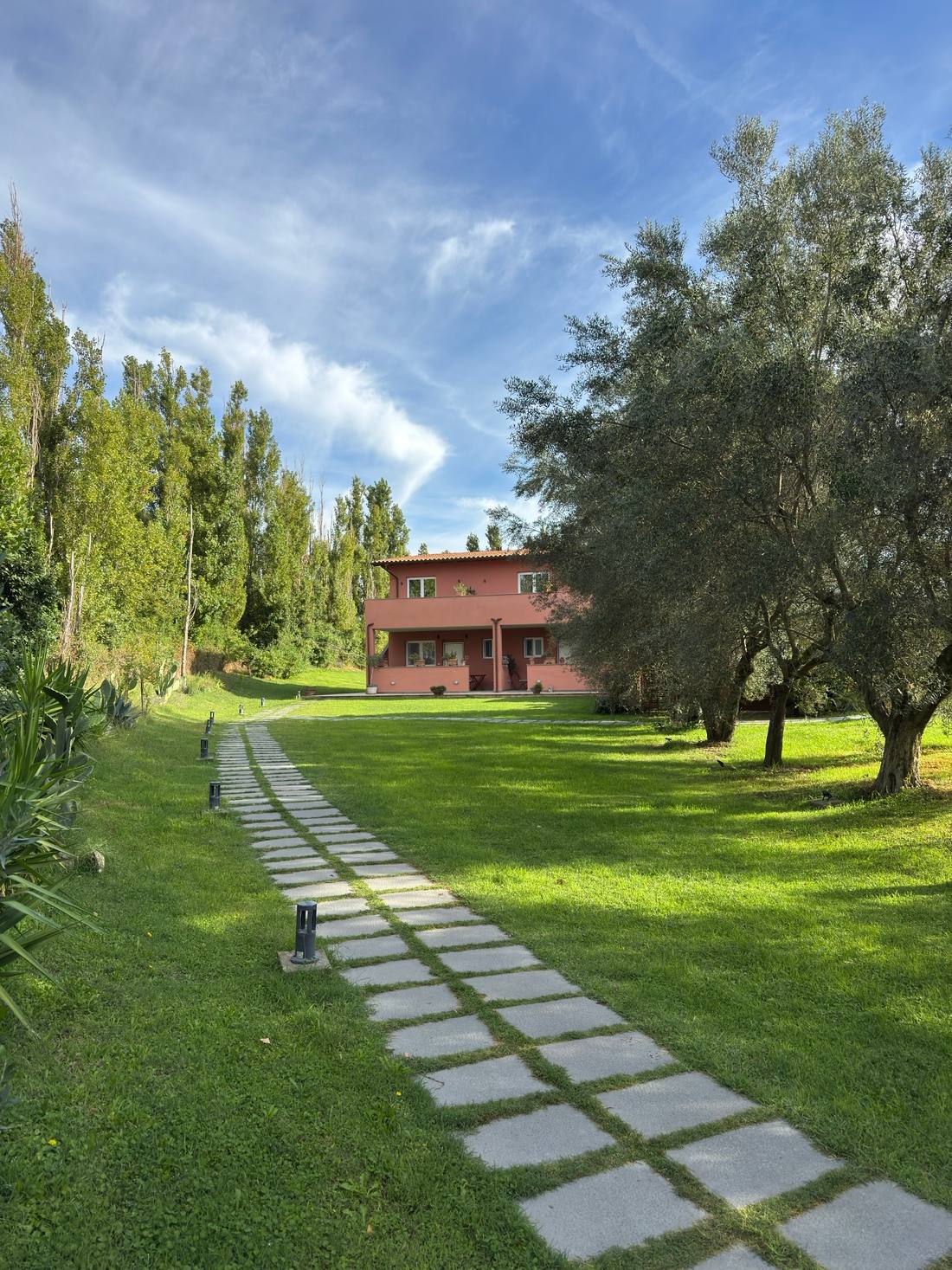Il vialetto di pietra che attraversa il prato fino alla casa, tra gli ulivi